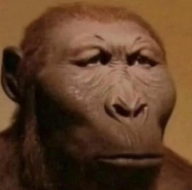 mONKJET Monkey